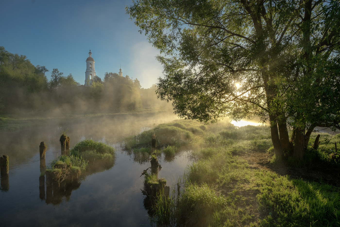 Зеленеющий май