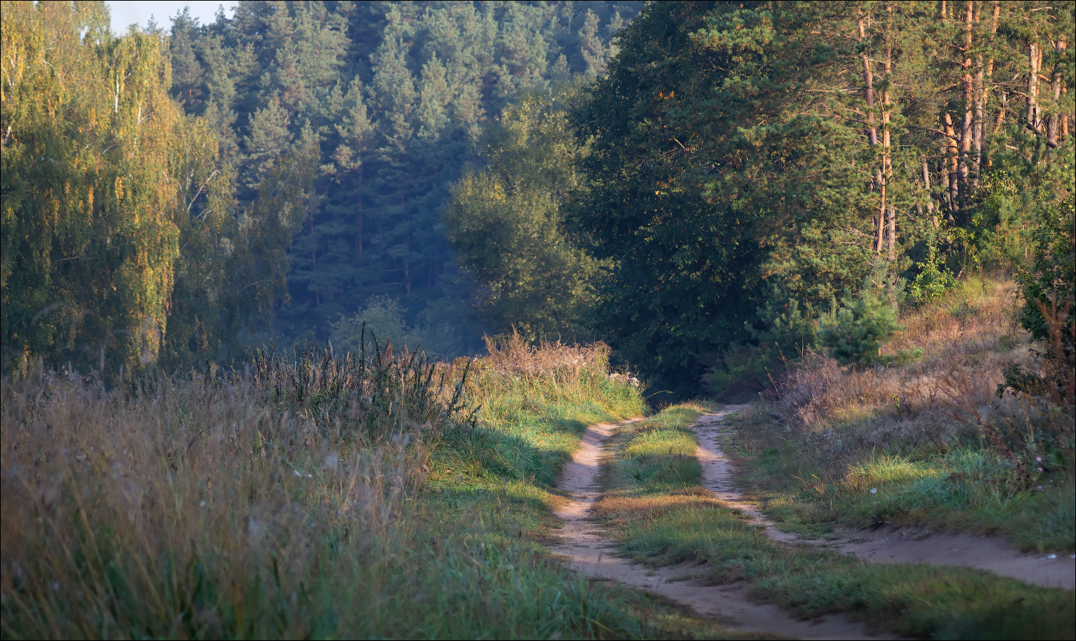 Про лесную дорогу