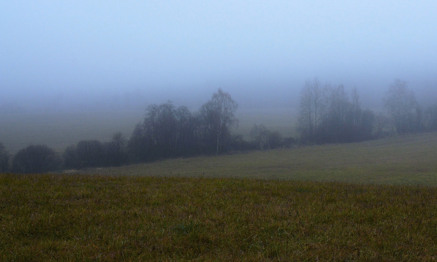 "И тишина, и одиночество насели ..."