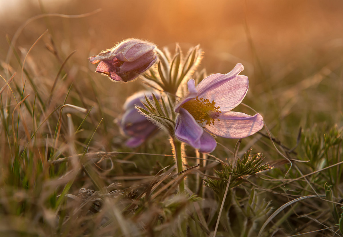 Вечер на троих...