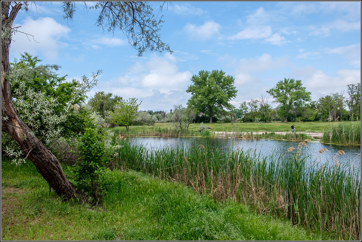 Май - начало лета.