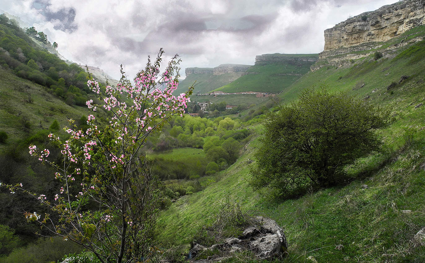 Весна цветёт.