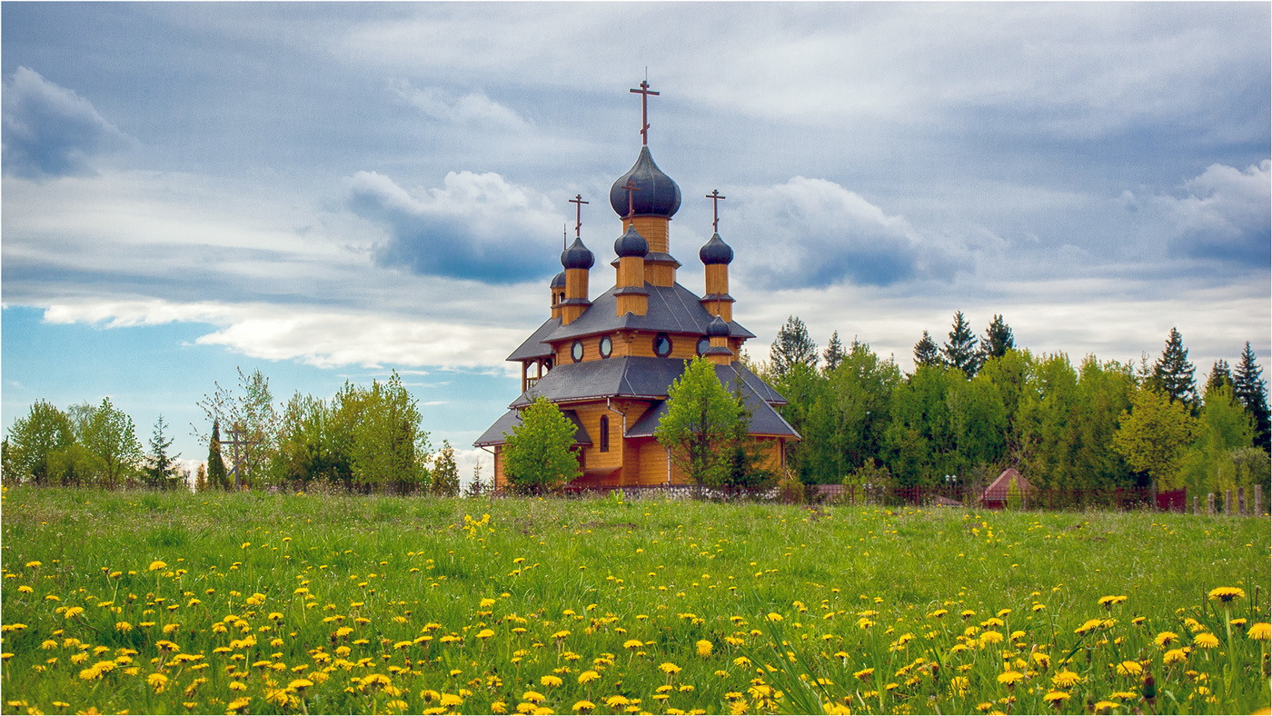 Одуванчики