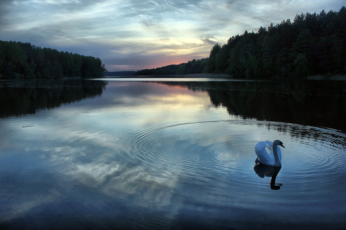 День заканчивается.