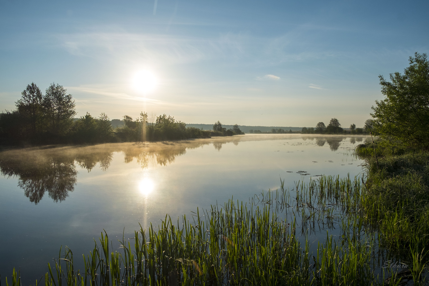 Тихое утро.