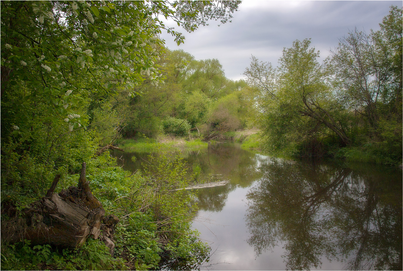 Рыбное место на речке Птичь