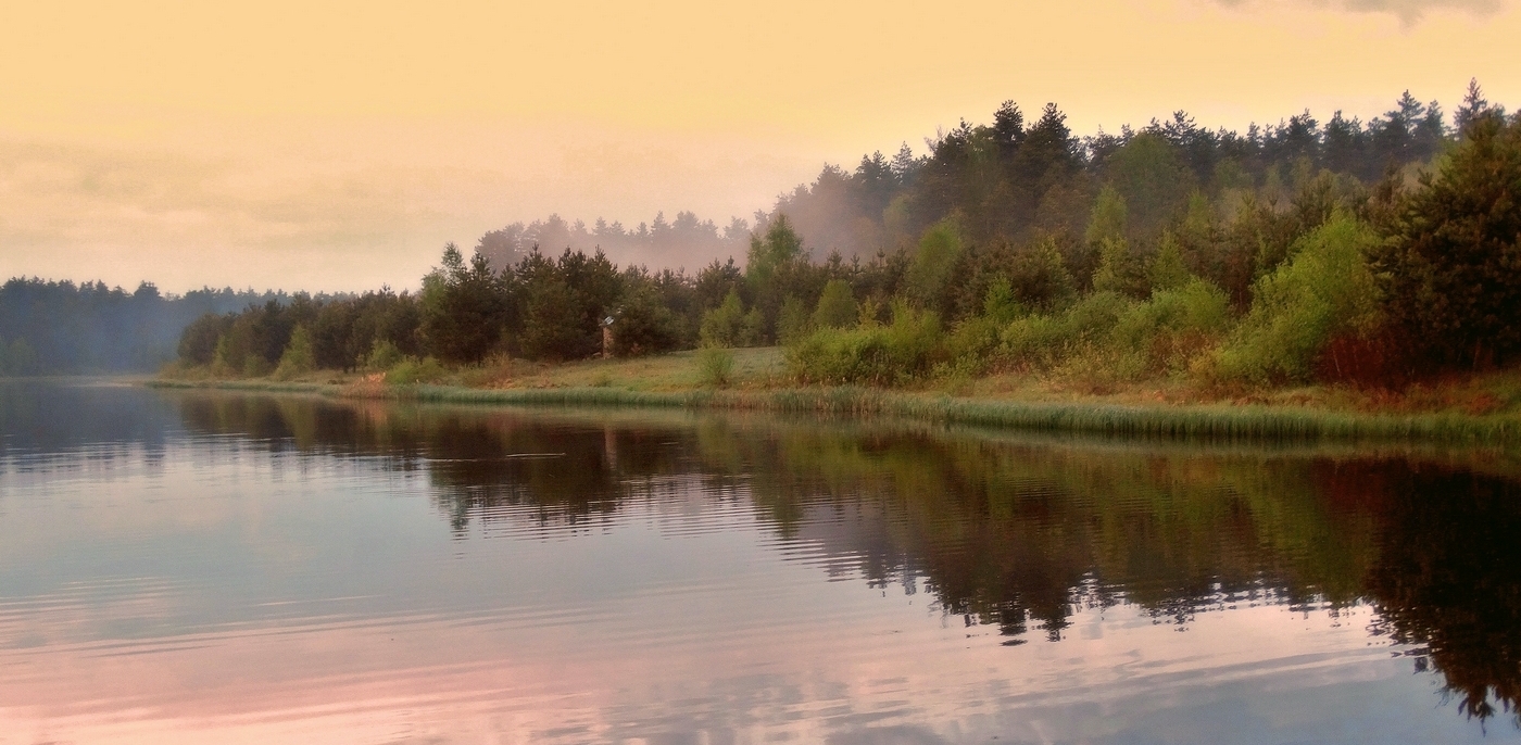 Майские природные зарисовки