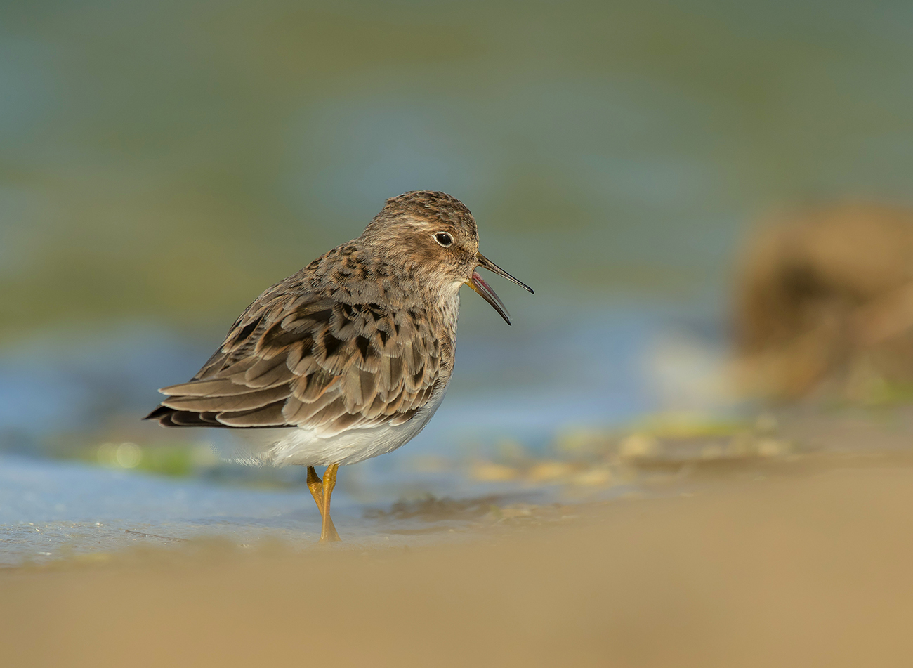 Фу...гадость...