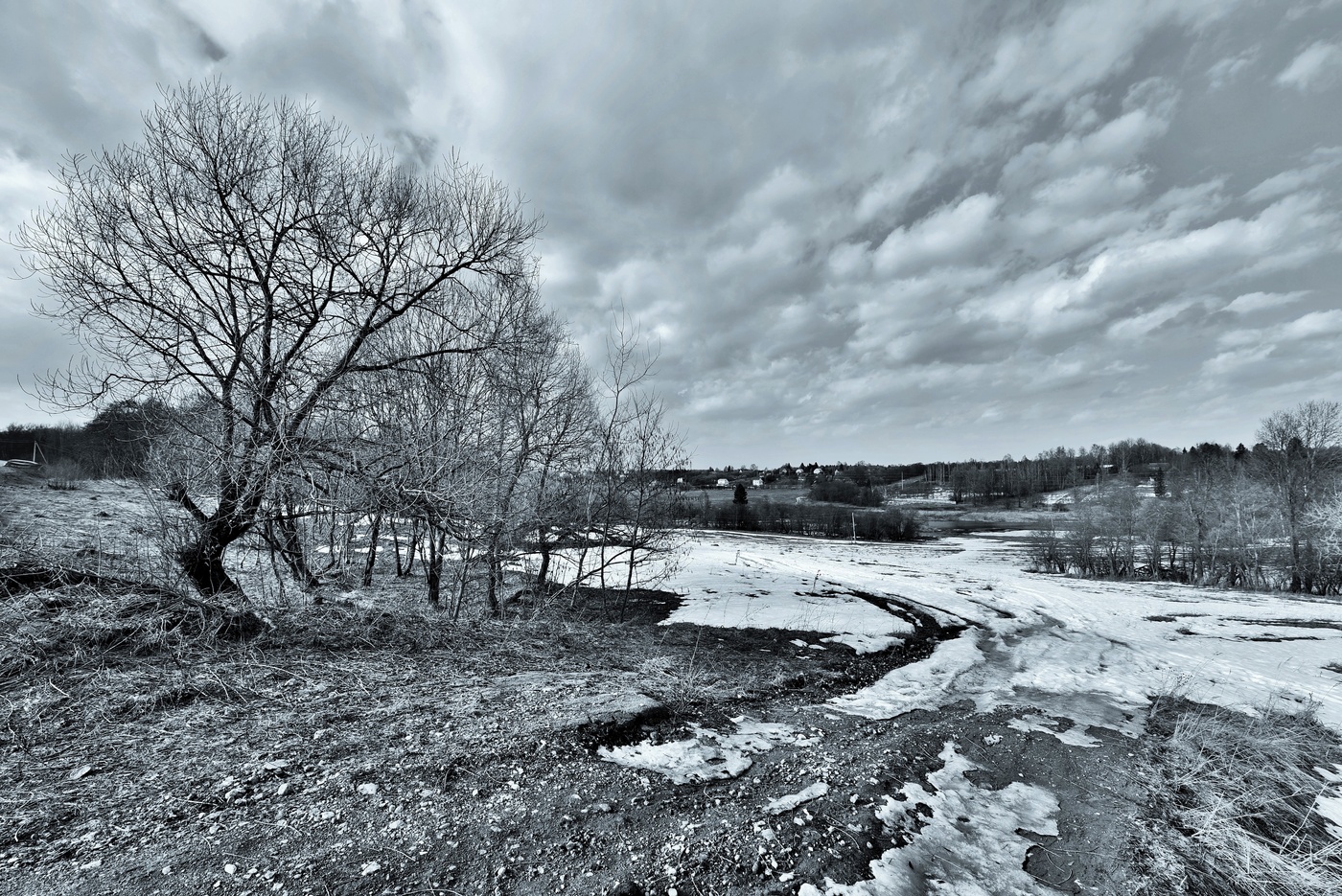 Черно - белая весна ...