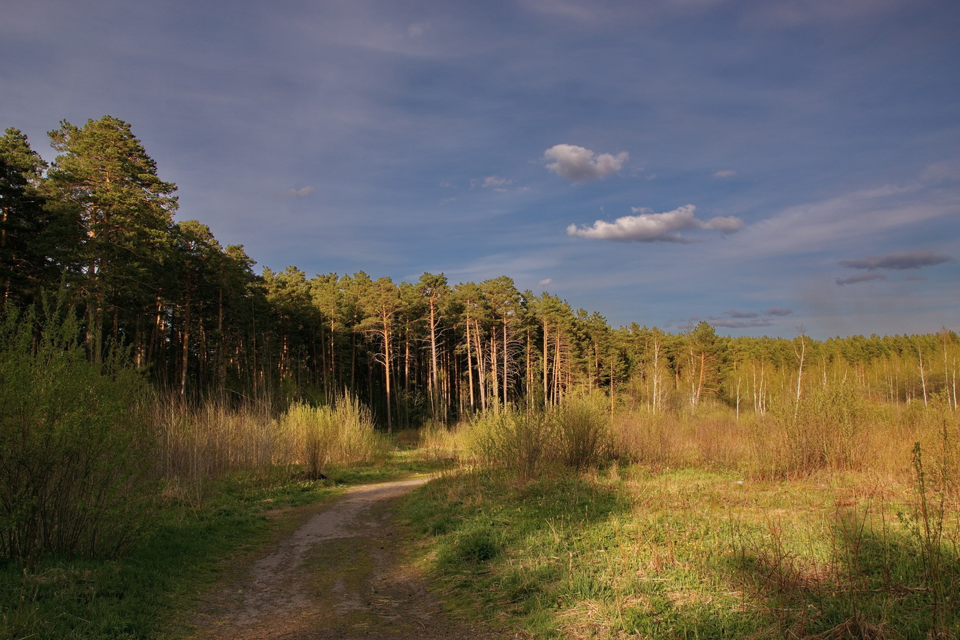 Майский вечер.
