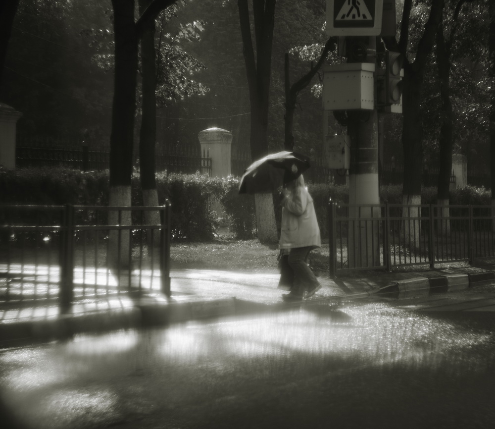 солнечный дождь