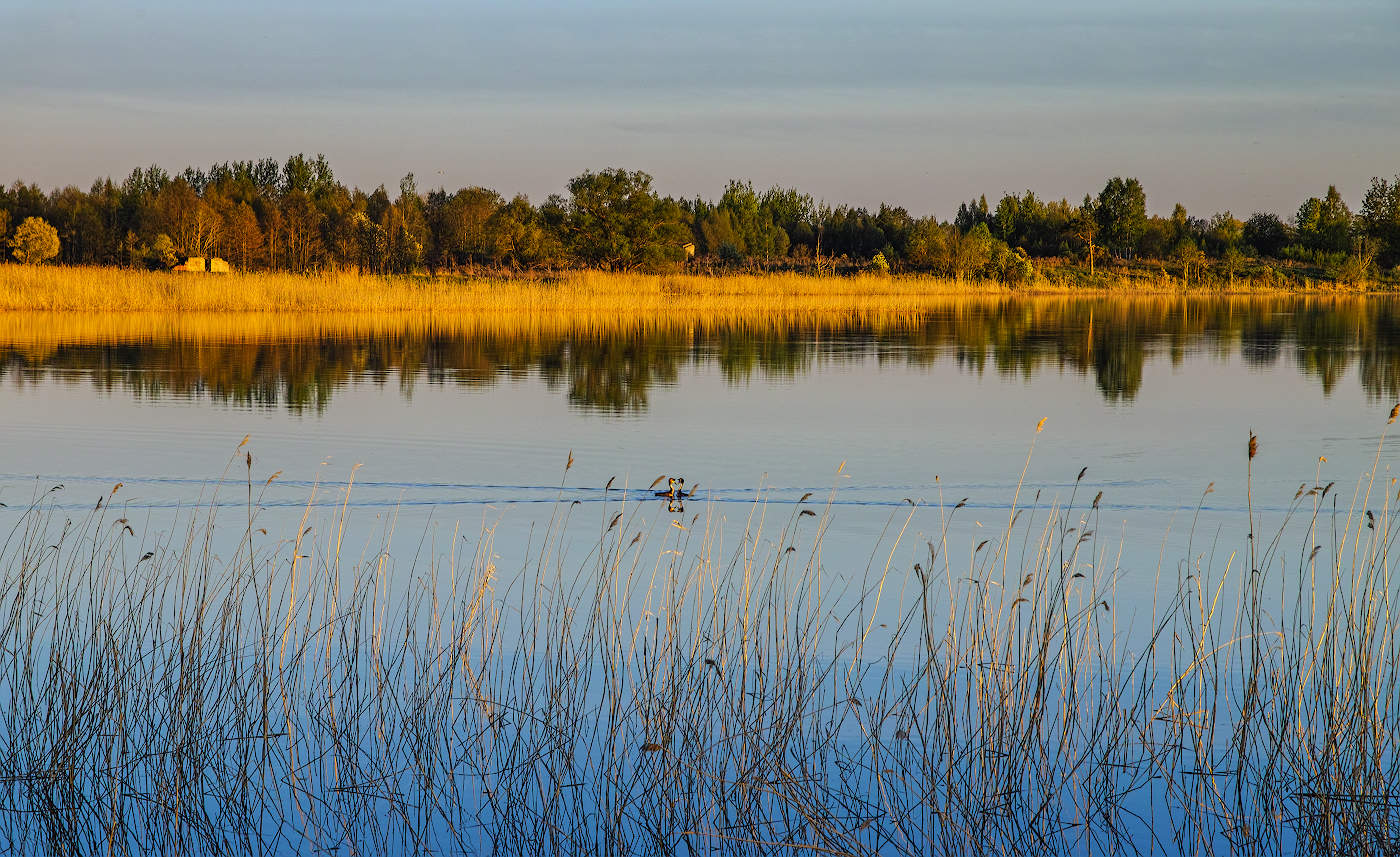 Любовные забавы