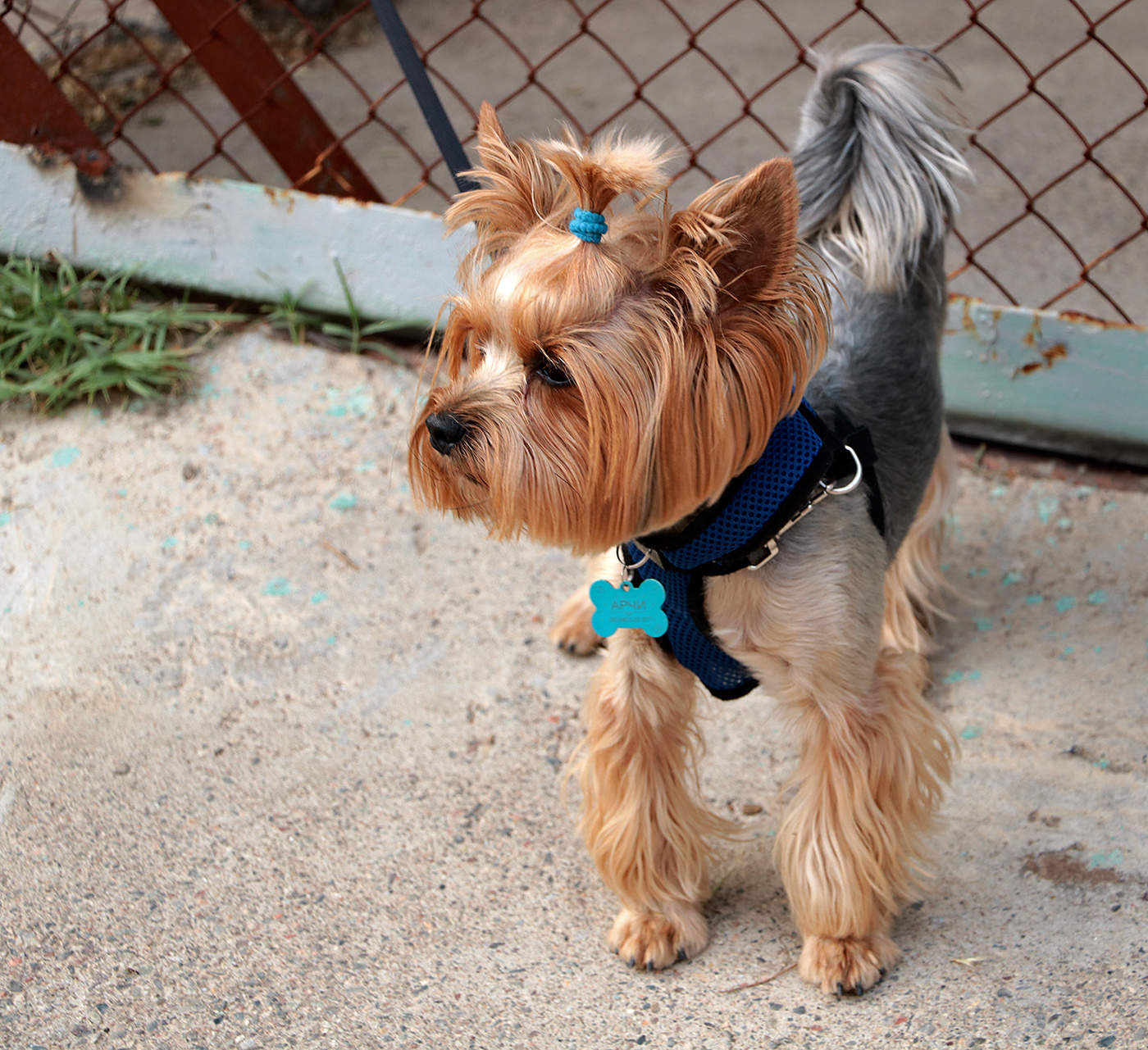 Как денди лондонский одет...