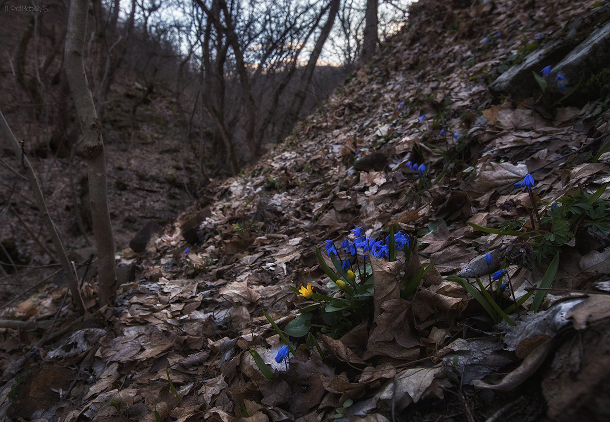 Волшебный вечер в середине марта