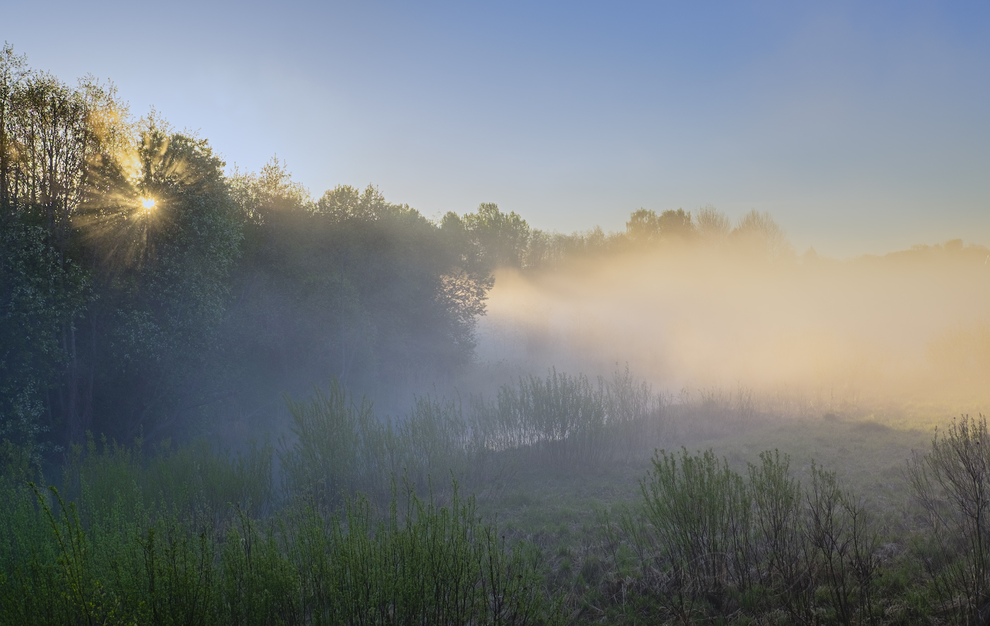 Рассветные лучи