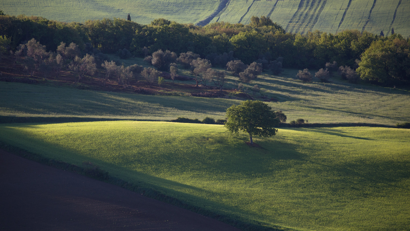 Выступление перед