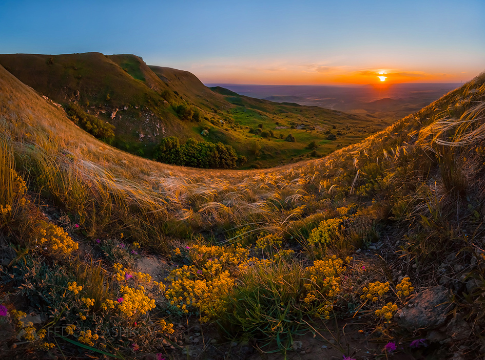 Весенняя степь на закате