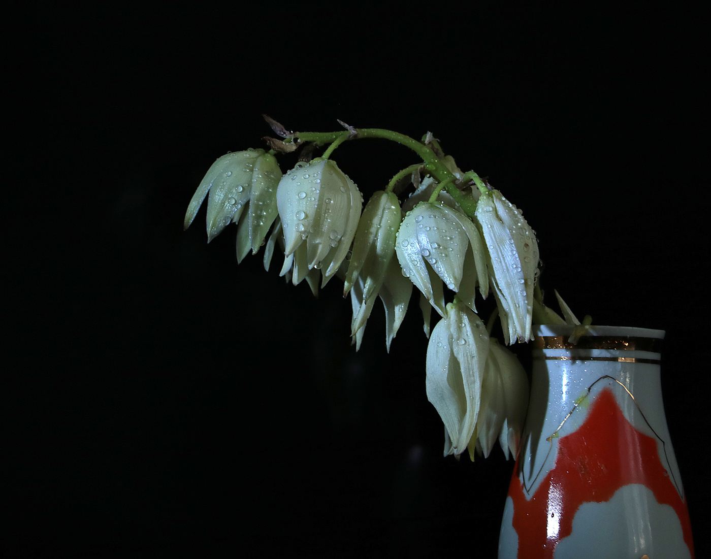 Эх, жизнь наша жестянка...