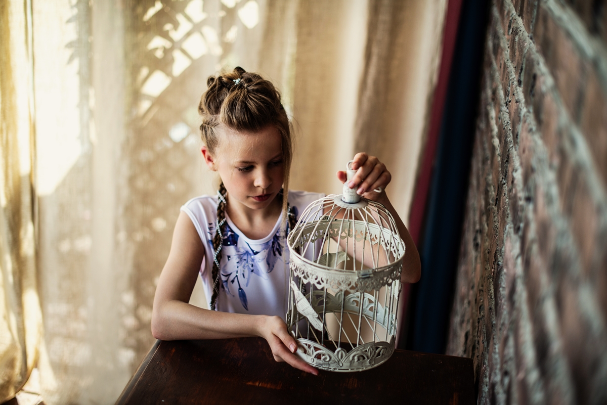 Птичка улетела