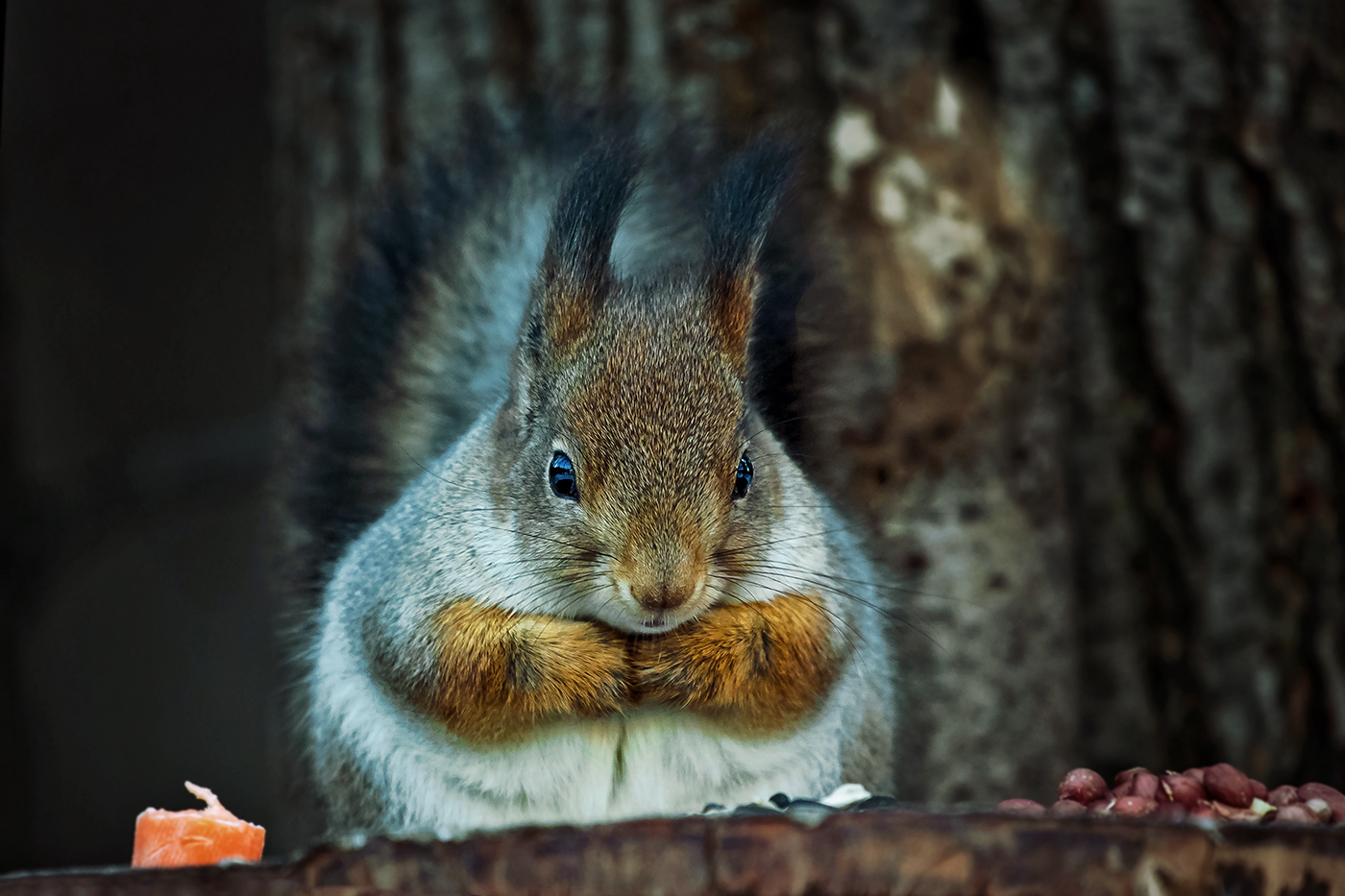 Сегодня лучше, чем вчера