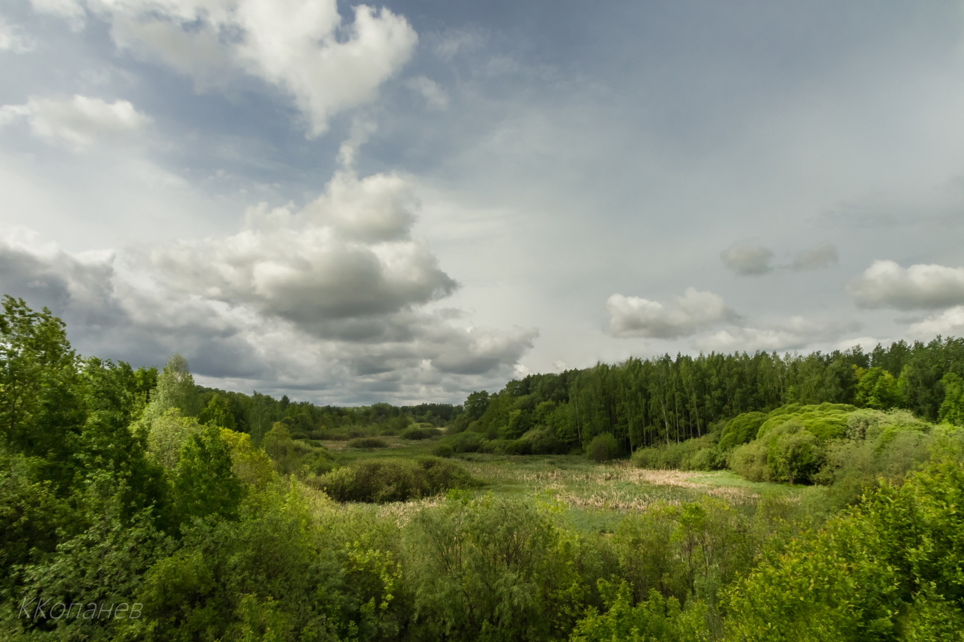 Весенний день