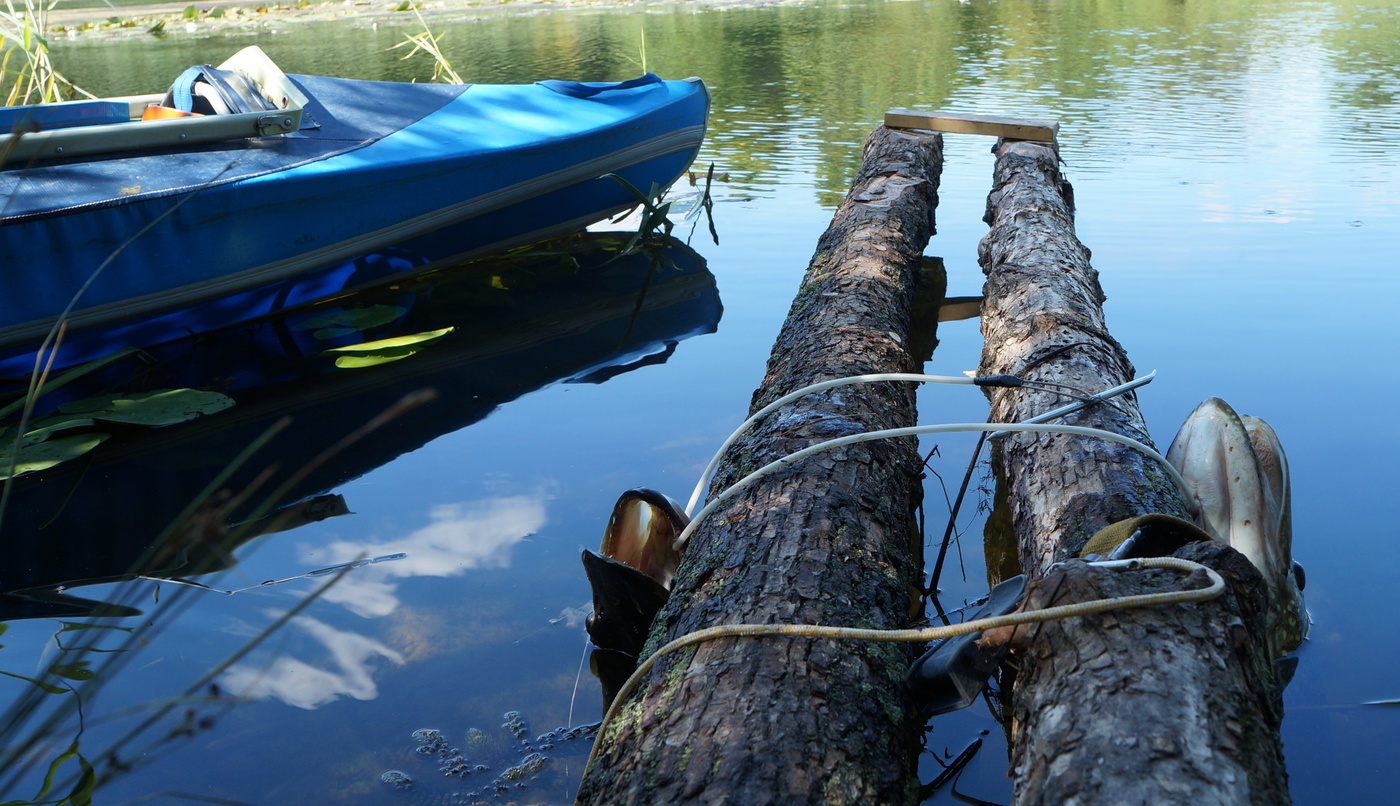 Сегодня лучше, чем вчера