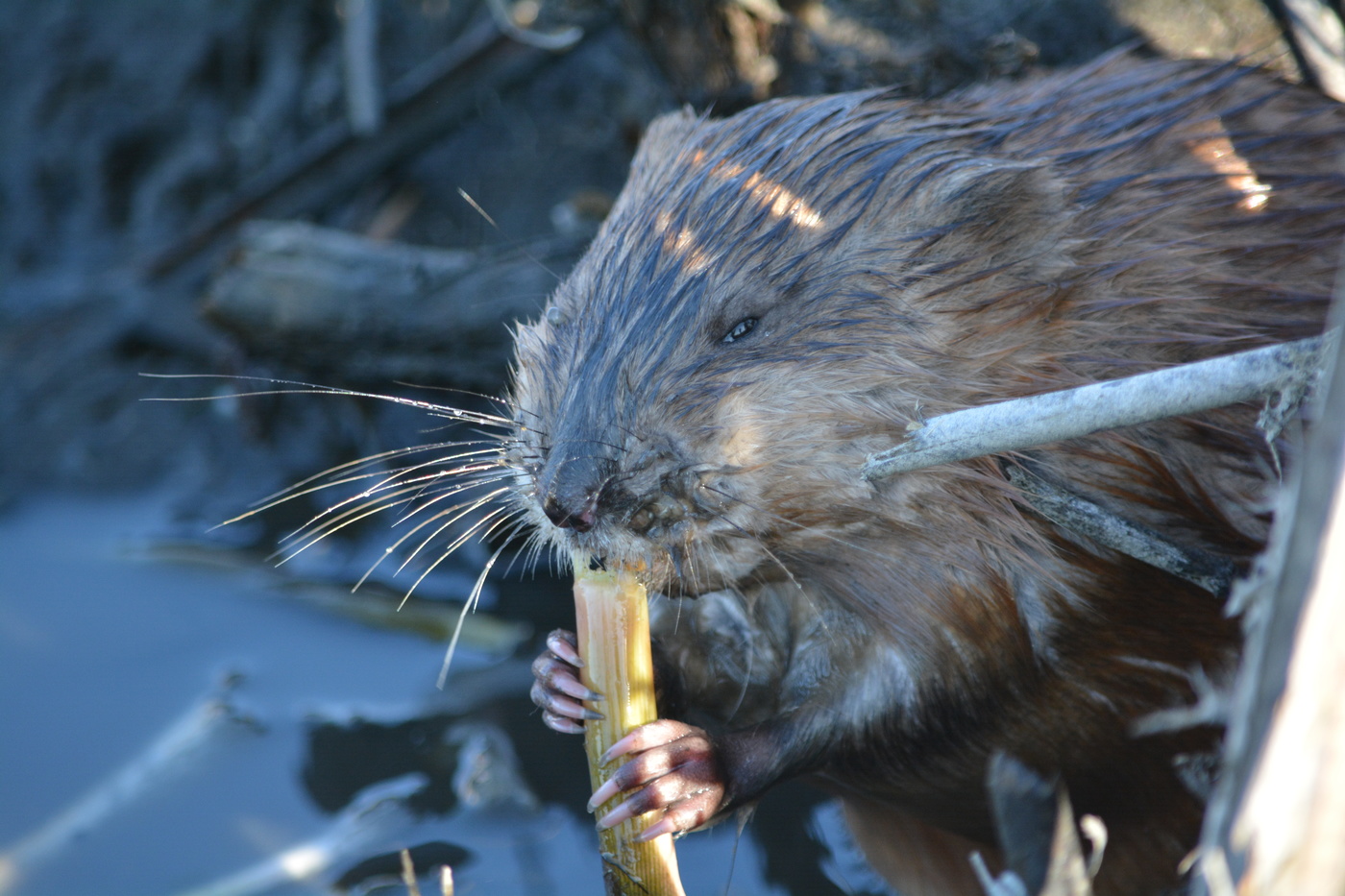 Сегодня лучше, чем вчера.
