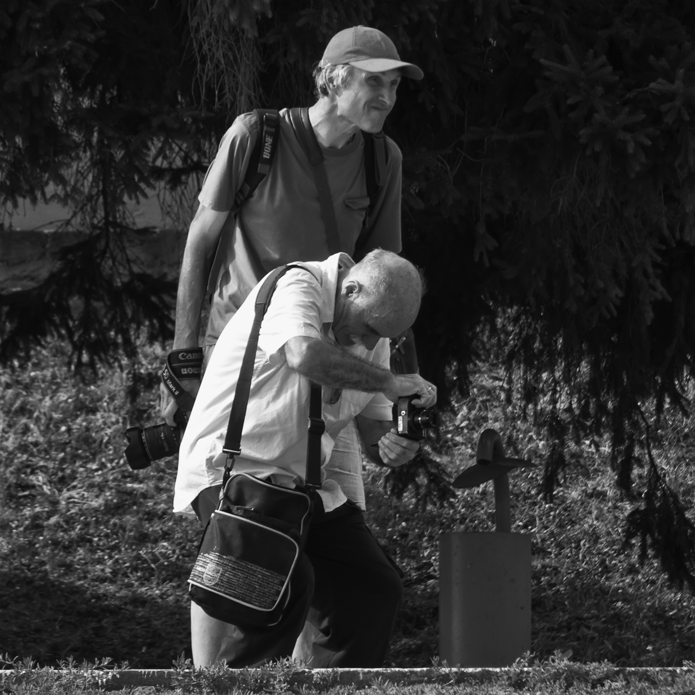 Сегодня лучше, чем вчера