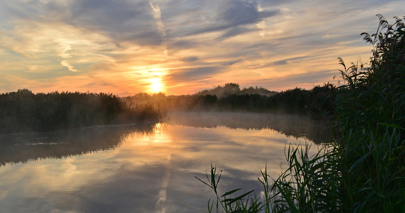 Сегодня лучше, чем вчера