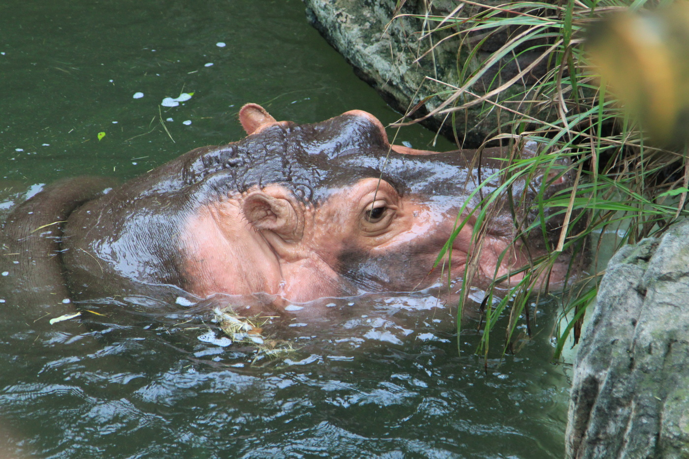 Сегодня лучше, чем вчера