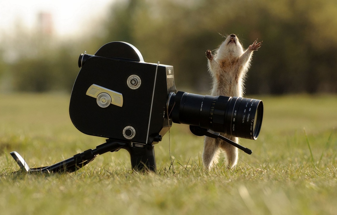 Душа артиста.