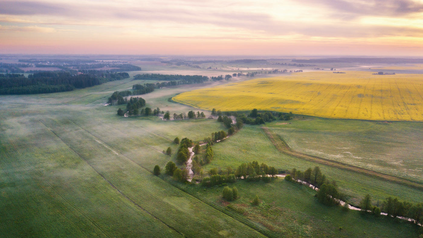 Утро на Птичи