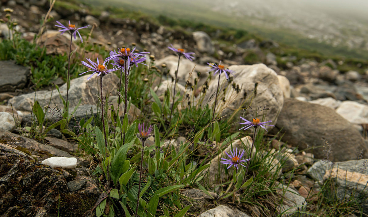 Просто плохая погода...