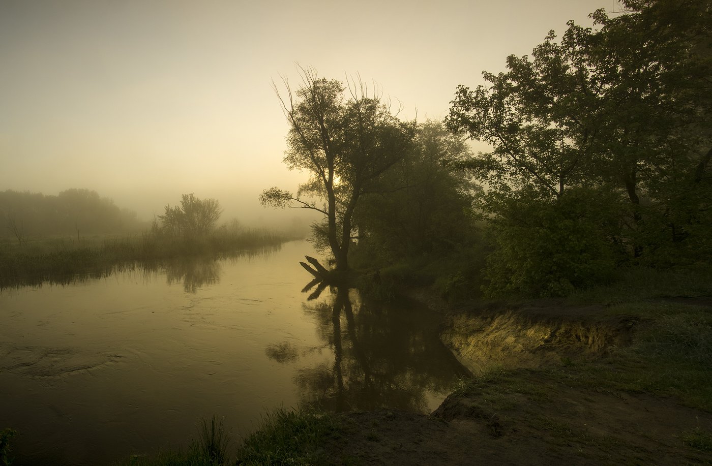 Пробуждение