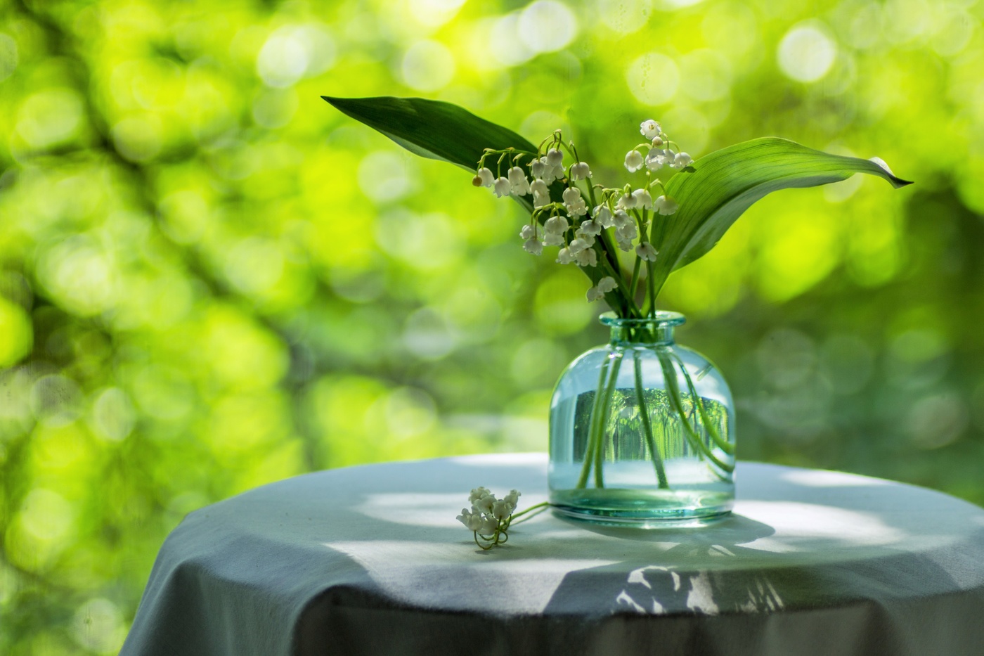 "Ландыш, ландыш белоснежный..."