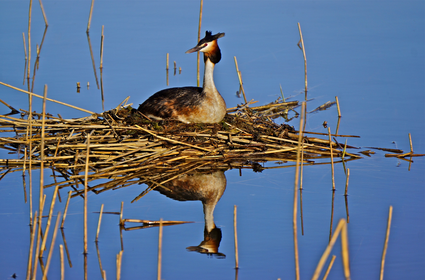 Сегодня лучше, чем вчера
