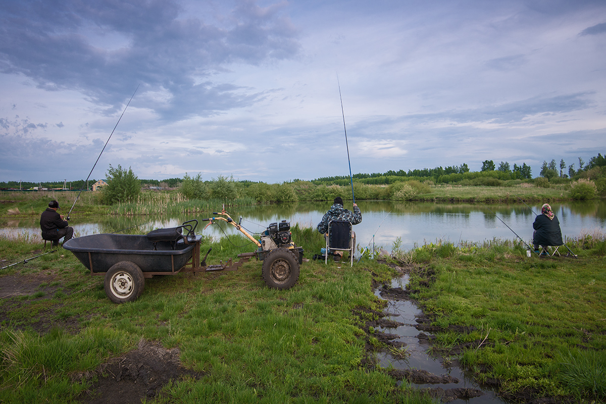Сельский пруд...