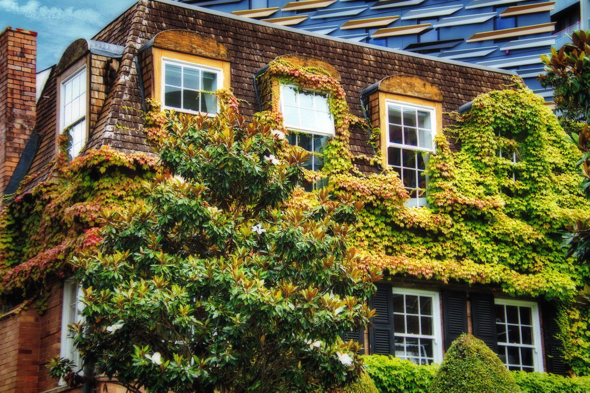 Дом,который построил Джек