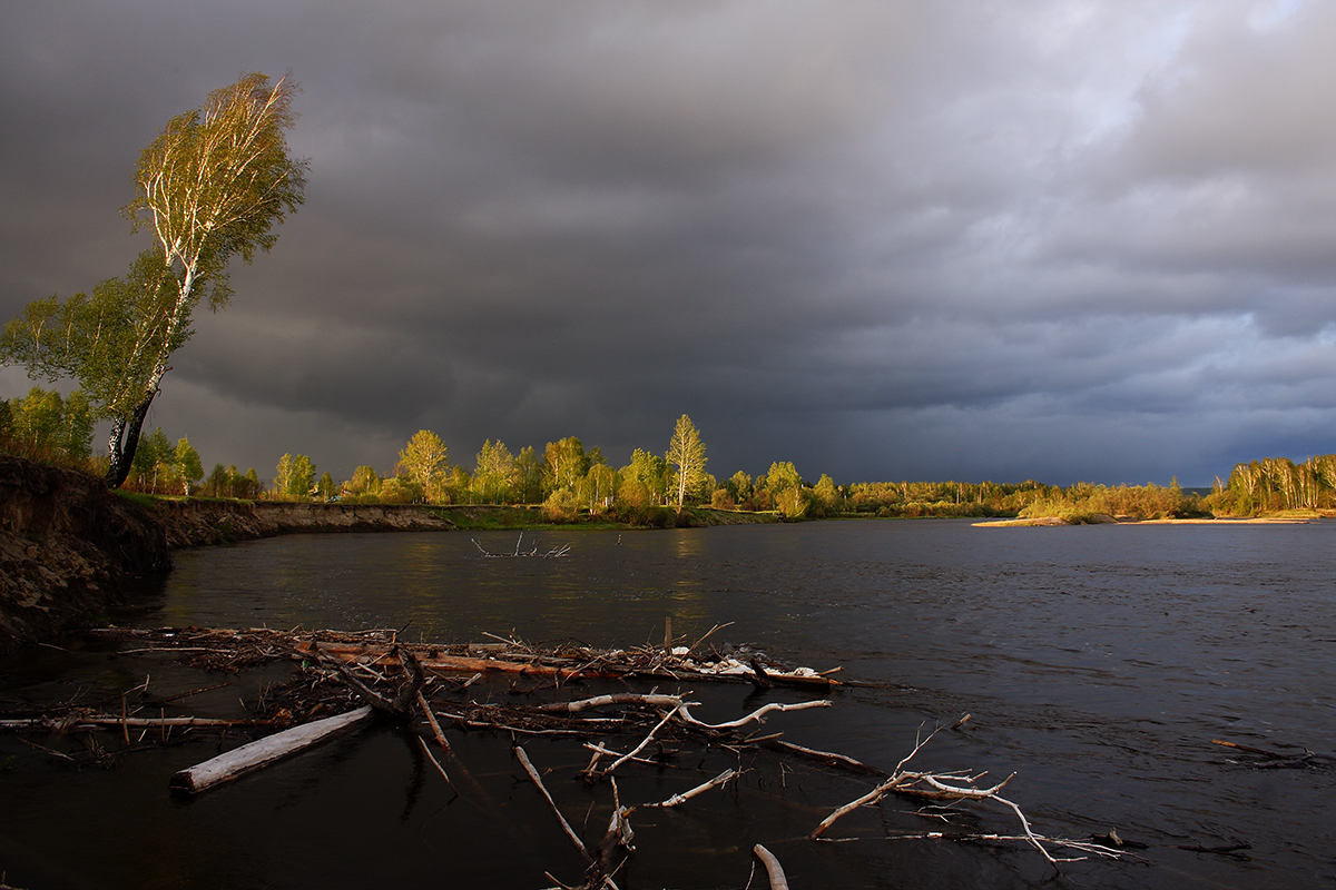 Перед грозой