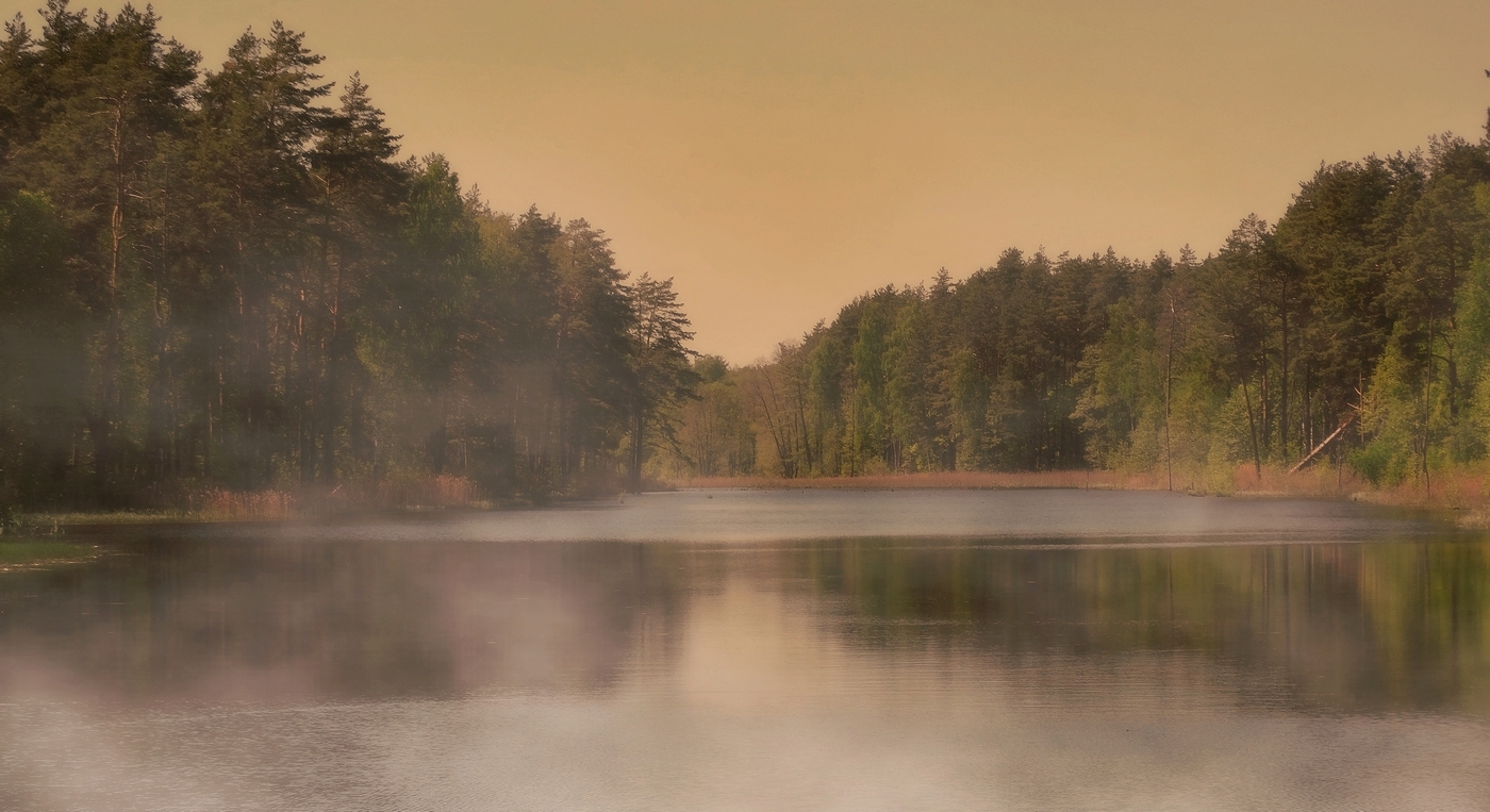 Туман над озером