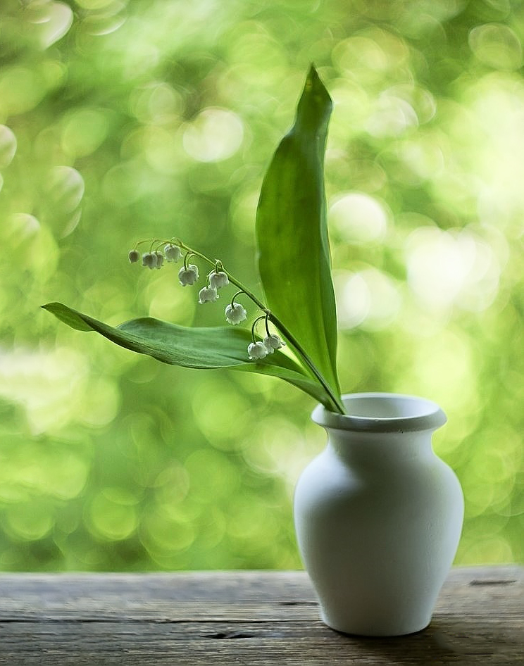 ...светлого мая привет...