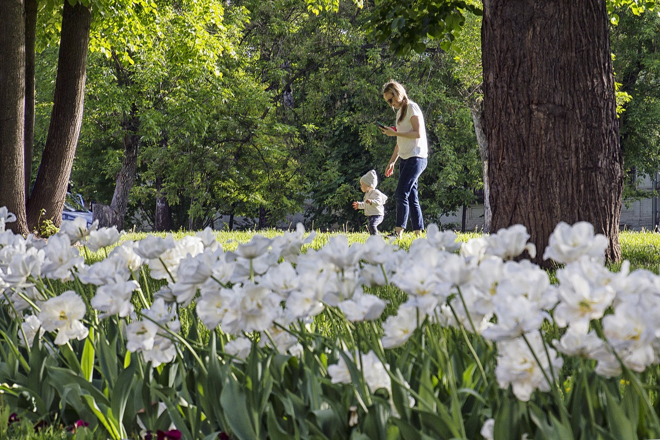 Современная Мадонна