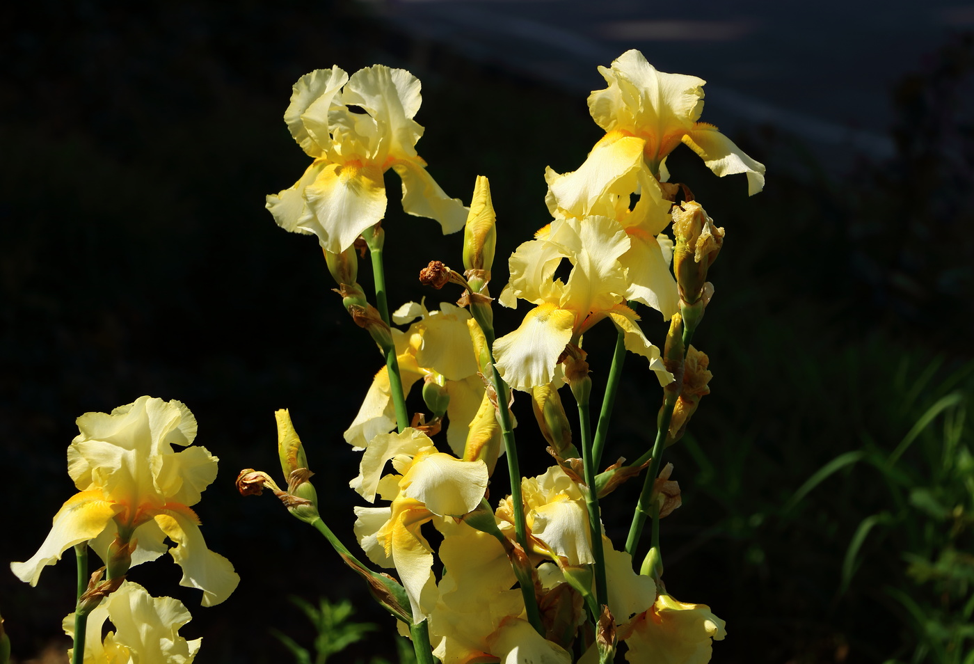 Утомленные солнцем