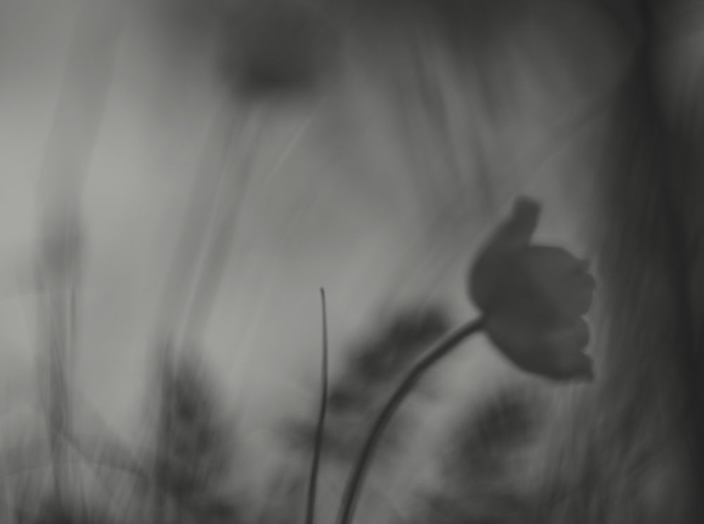 про..нежное