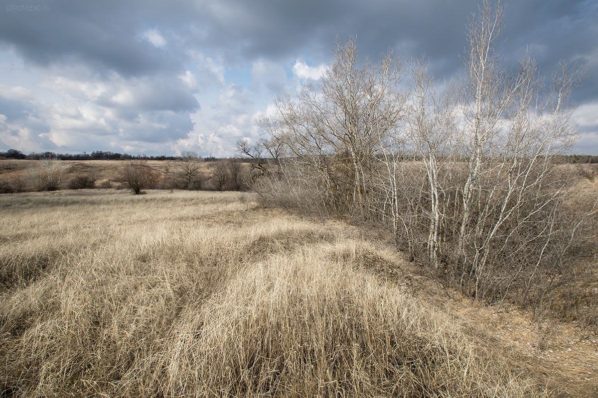 Мартовское настроение