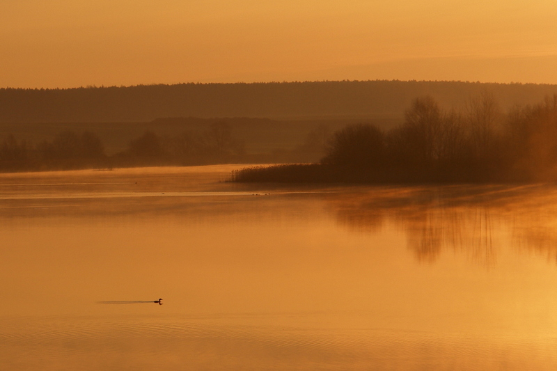 Цветной рассвет