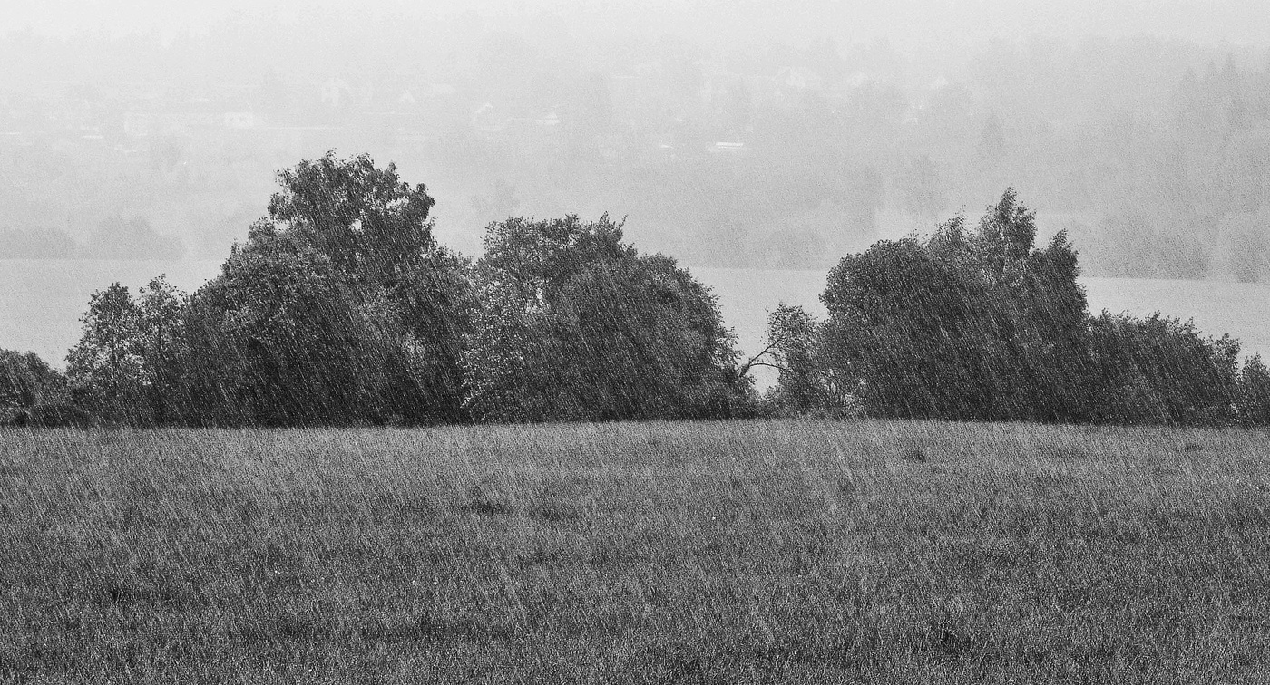 "Прошел внезапный дождь косыми полосами ..."