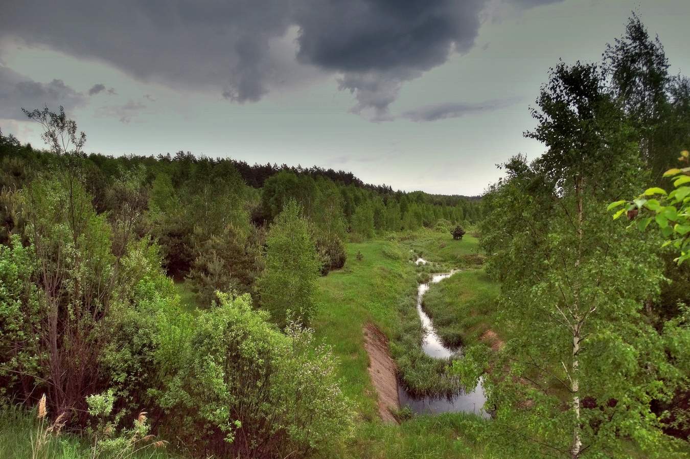 Зелёный май под грозовыми тучами