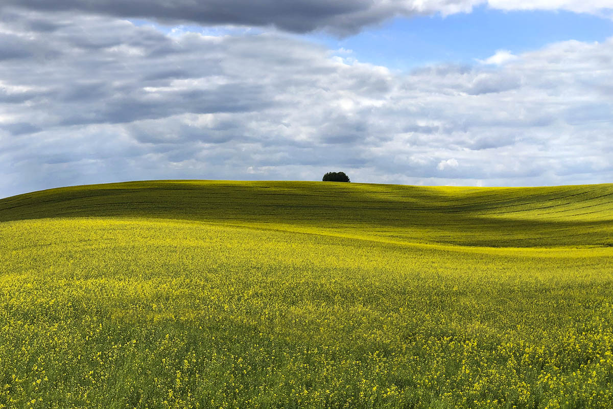 Май в Беларуси