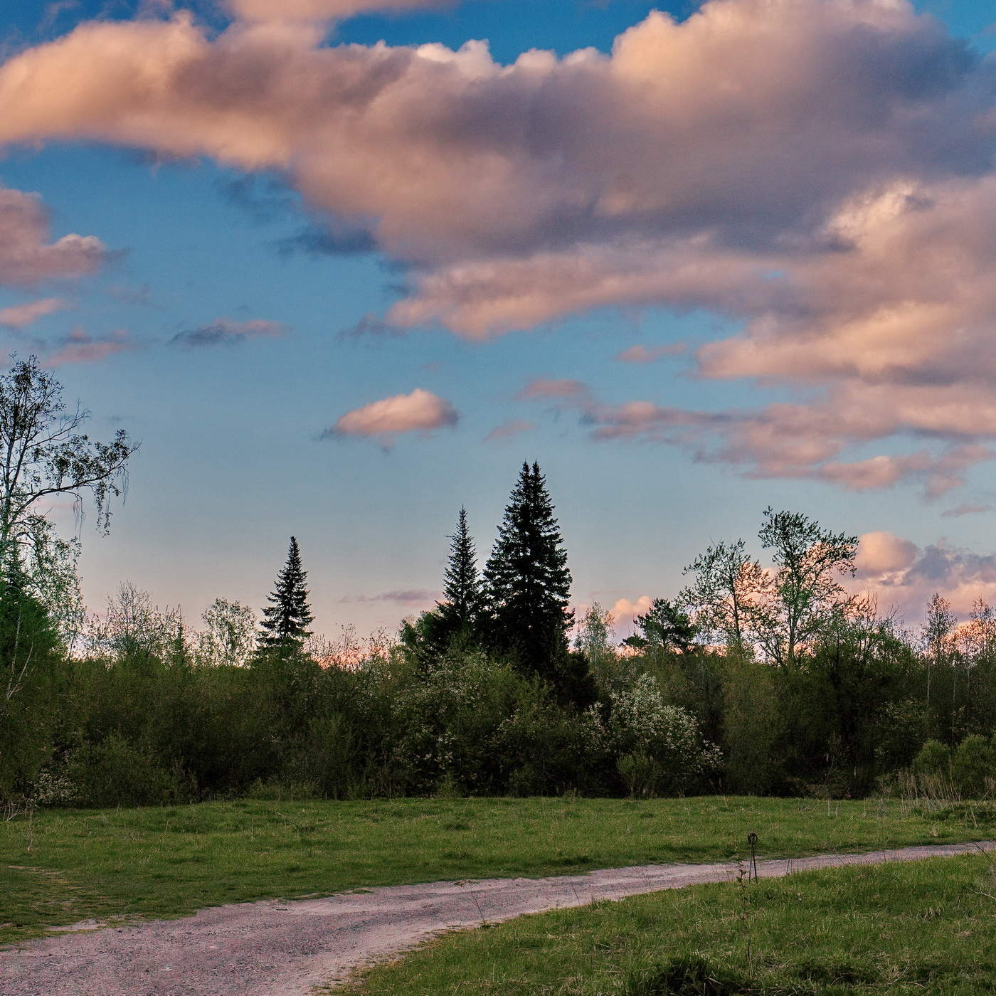 Весенний вечер.